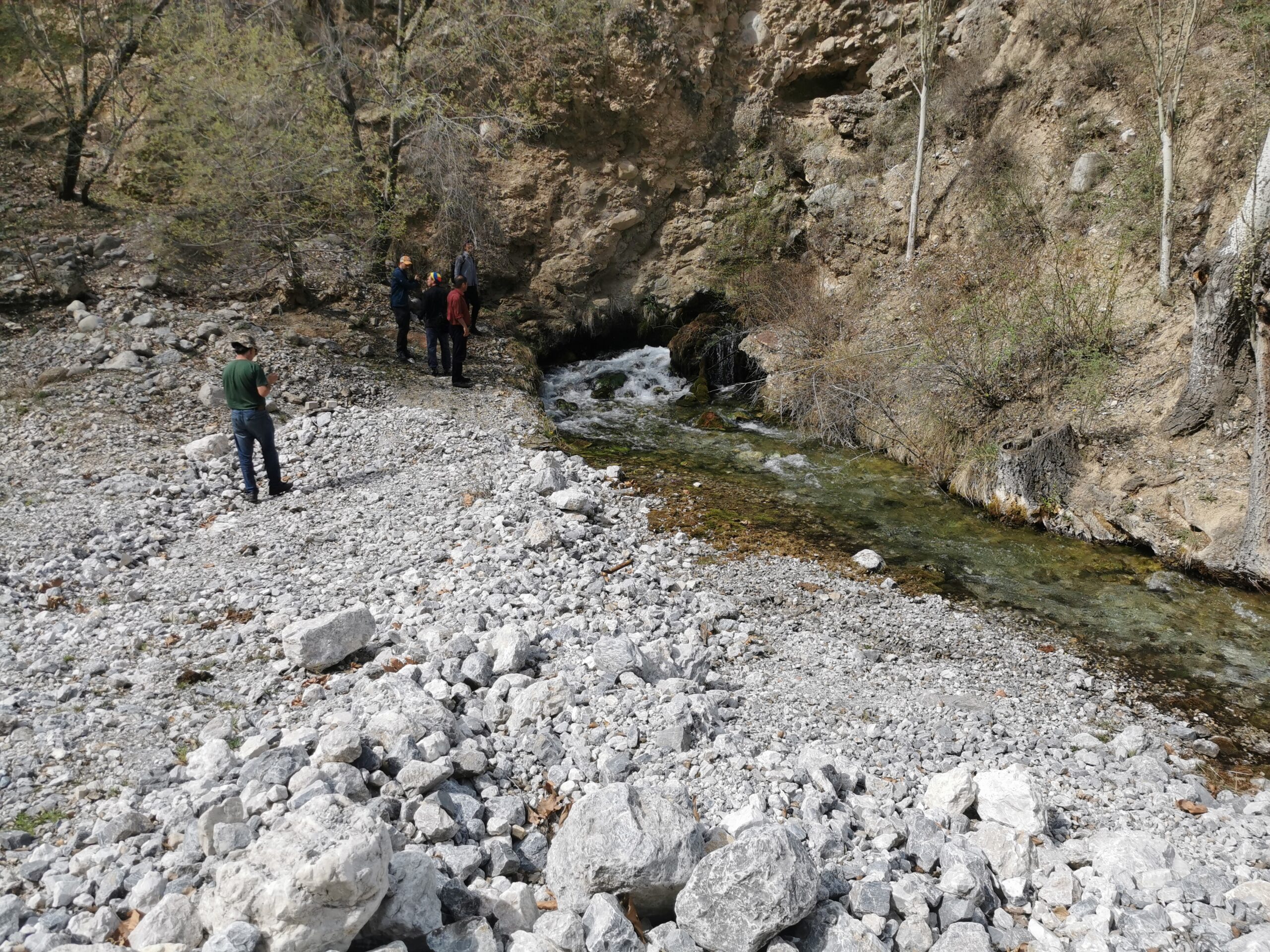 IMG_20220408_102107-scaled