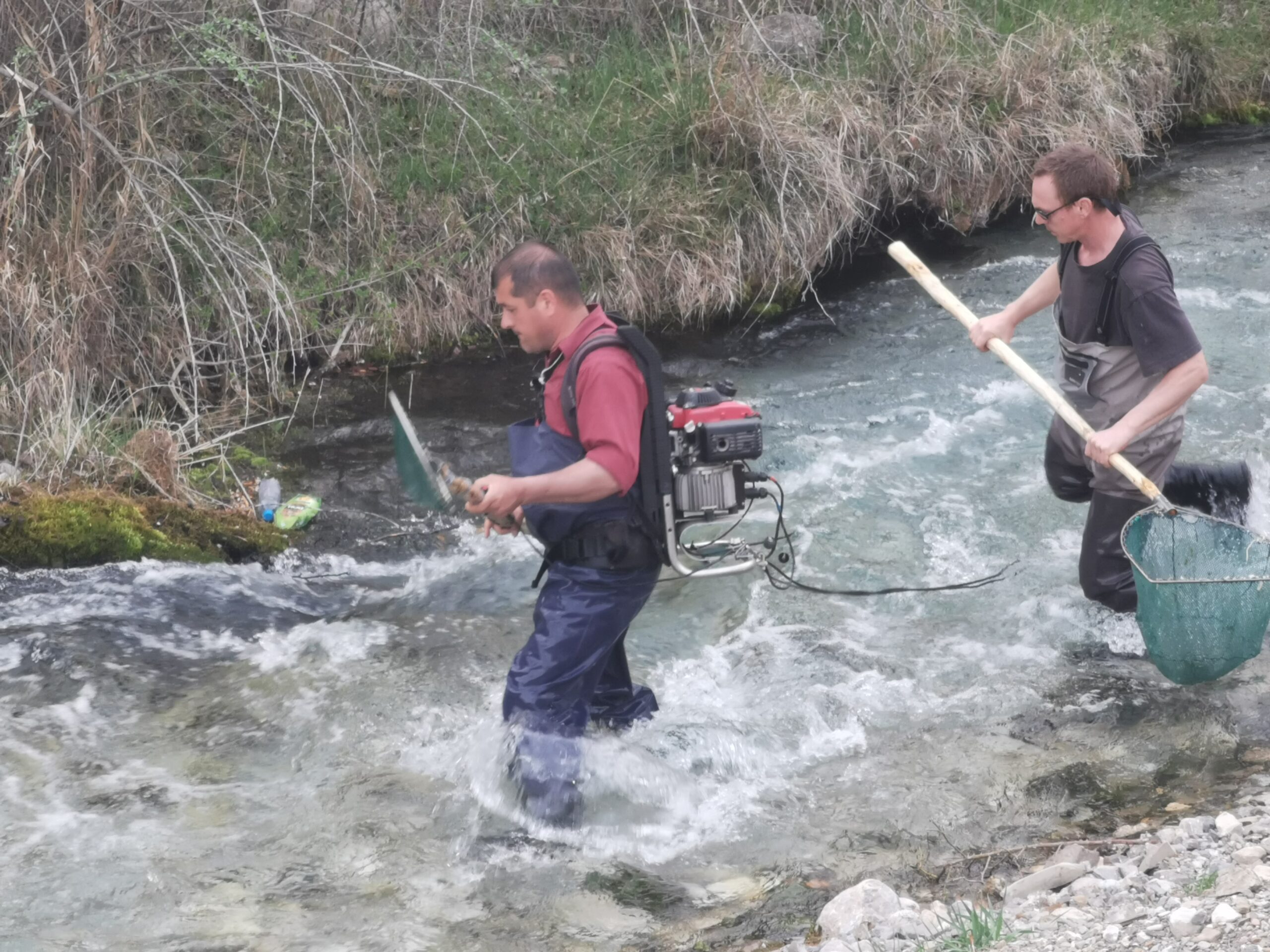 IMG_20220408_155710-scaled