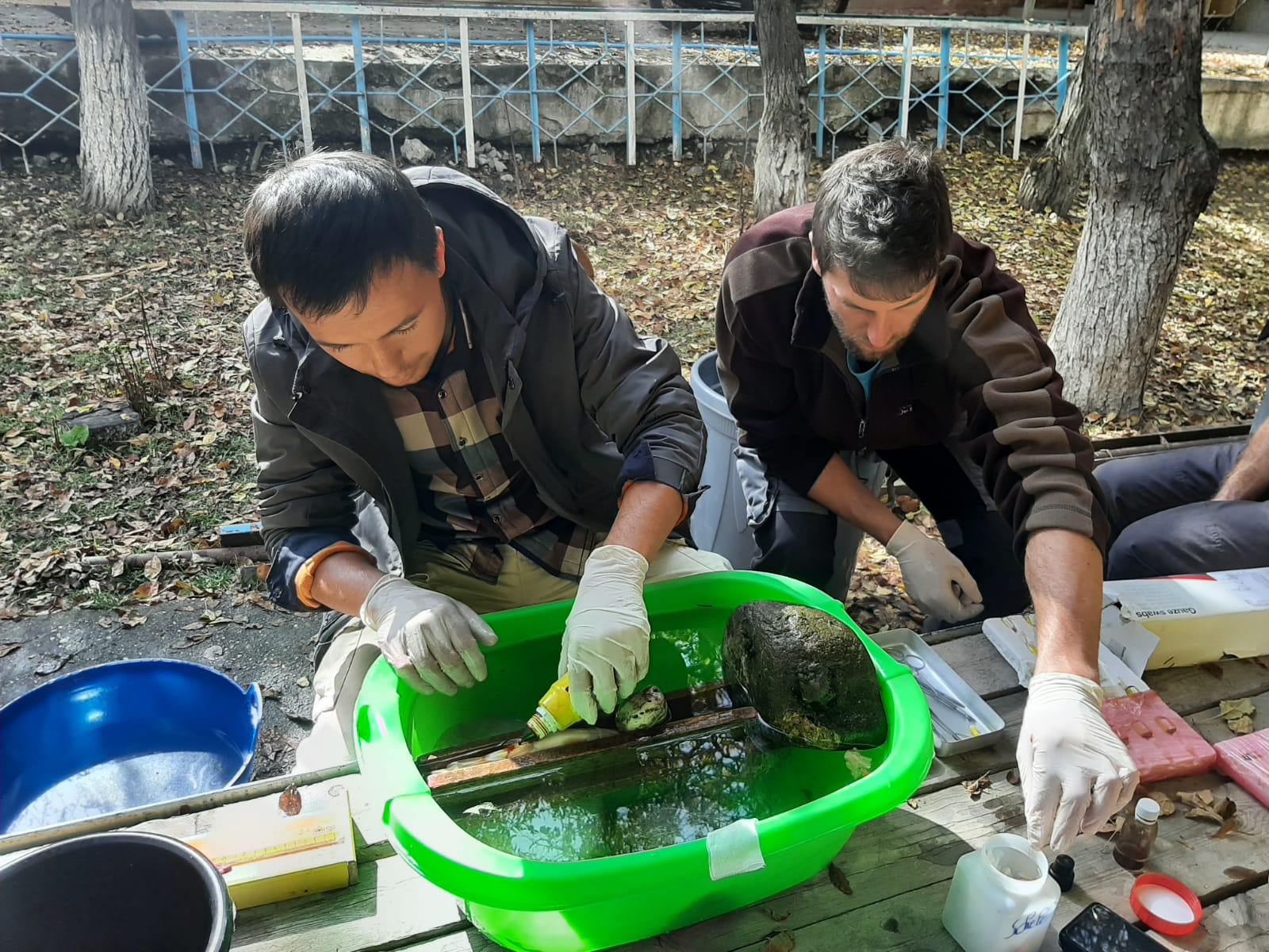 Training in fish tagging.