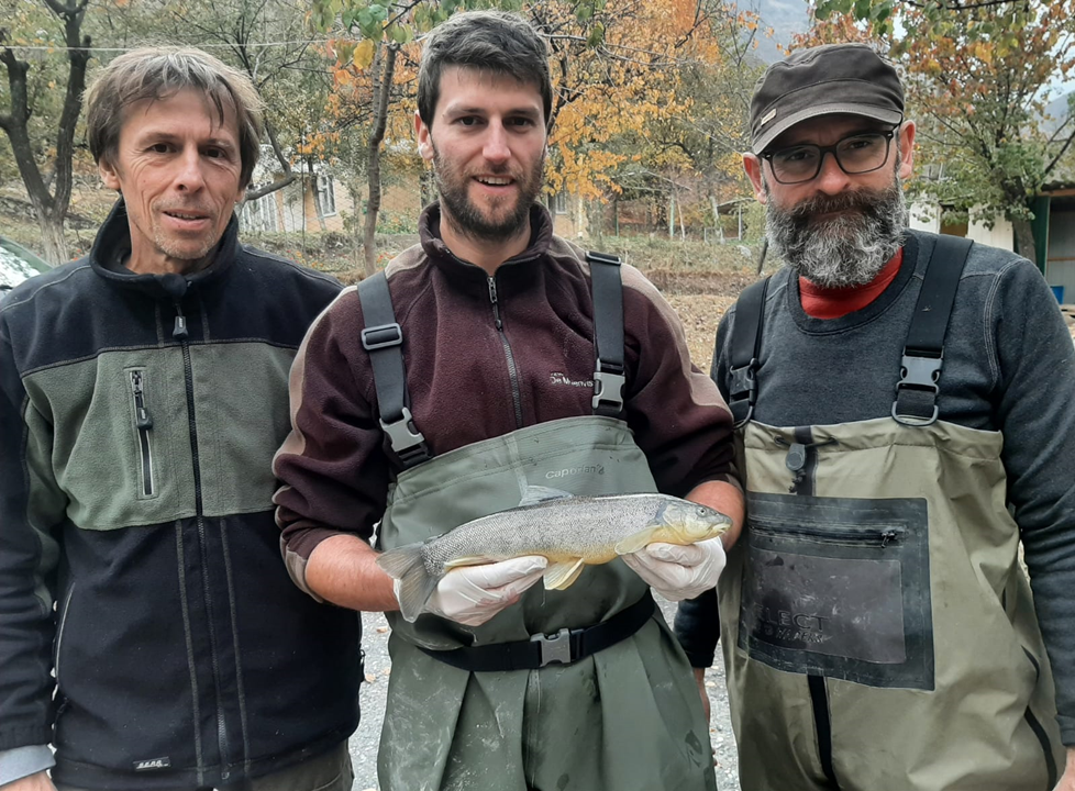 The INBO team with a tagged snow trout. From left to right: Johan Coeck, Pieterjan Verhelst and Nico De Maerteleire.