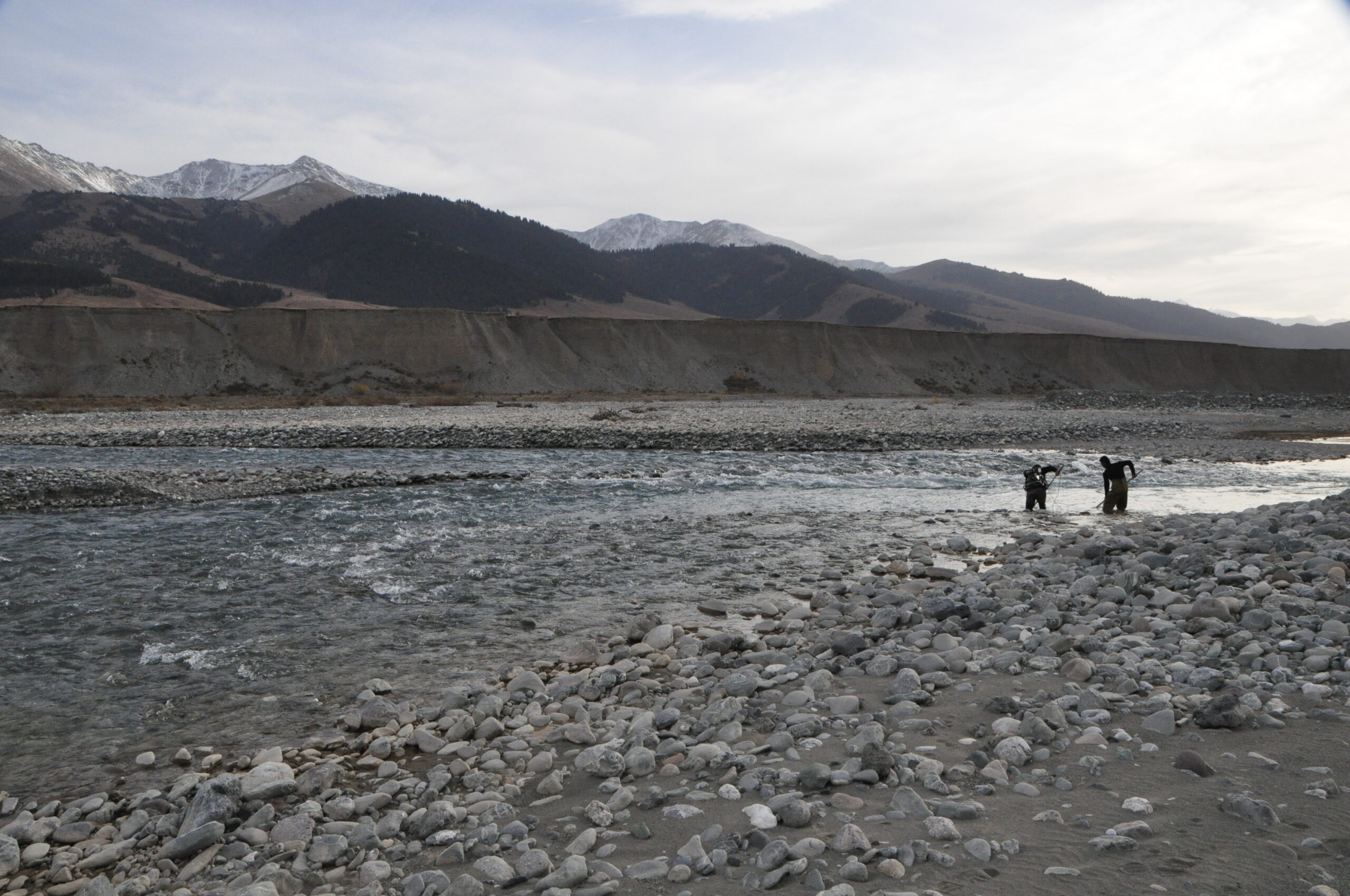 Electrofishing At-Bashy
